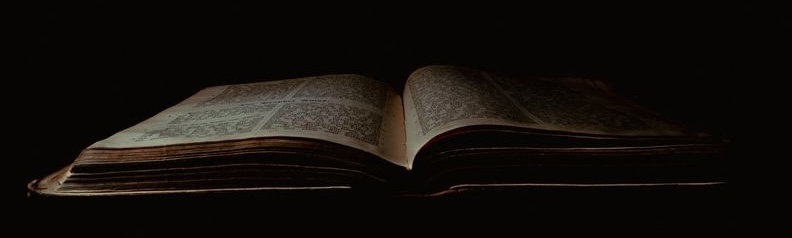 Árbol genealógico familiar con fotos y documentos antiguos